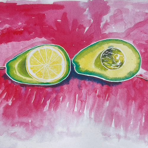 Avocado