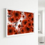 Red Poppy Wall Art Print photo 7